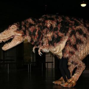 Nick Rogers as a juvenile tRex at the Los Angeles County Museum of Natural History