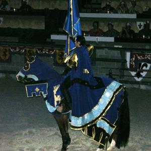 For several years Martin performed as a knight at Medieval Times in Baltimore.