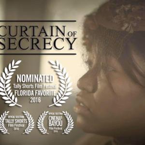 Curtain of Secrecy