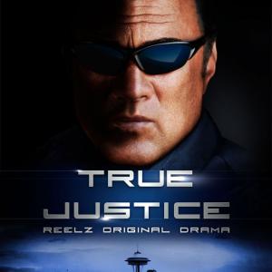 Steven Seagal in True Justice 2010