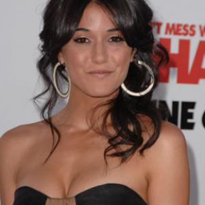 Emmanuelle Chriqui at event of You Don't Mess with the Zohan (2008)