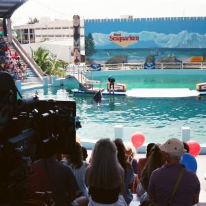Arrive Alive 1990 Sea World Florida set. Wow! real 35 mm film cameras.