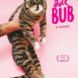 Lil Bub in Lil Bub & Friendz (2013)