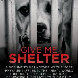 Give Me Shelter coming out Summer 2014!