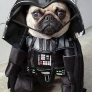 Shell Walker-Cook Alter-Ego Pug Vader, retired from action for the time being. Roar and ascend now with TUFF CAT SHELL!