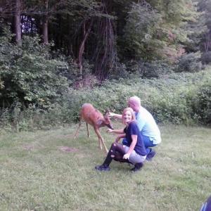 Still of Michael Hackworth and Ali Ferda meeting a deer on the set of The Sickness