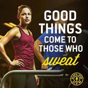 Golds Gym Campaign 2014