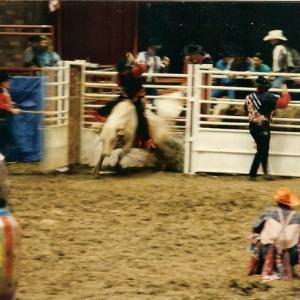 Bull riding Canton Ohio