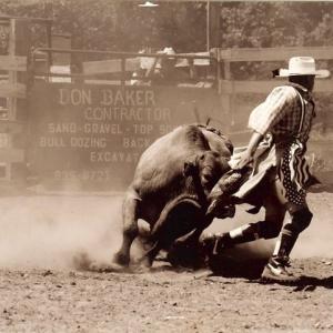 Bullfighting Gloversville New York