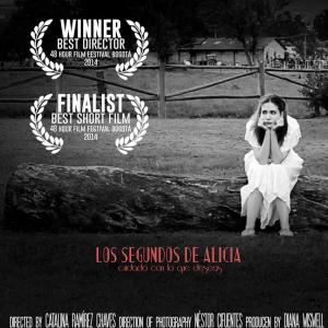 Poster of Los Segundos de Alicia Still frame