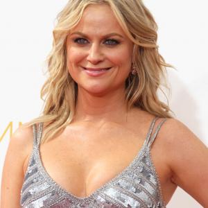 Amy Poehler at event of The 66th Primetime Emmy Awards (2014)