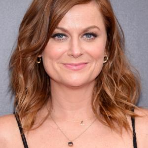 Amy Poehler at event of Difficult People (2015)