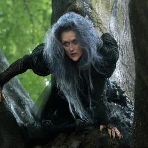 Still of Meryl Streep in Into the Woods (2014)