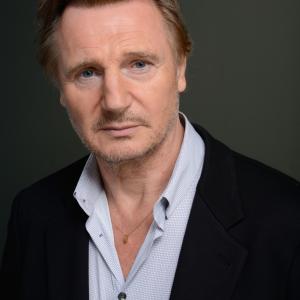 Liam Neeson at event of Trecias zmogus (2013)