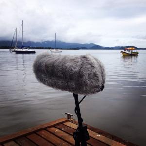 Recording the soundscape Antonina Brazil  2015