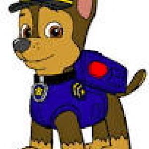 Max voices Chase in the animated series PAW Patrol