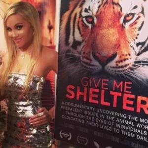 Give Me Shelter premiere
