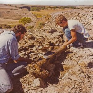 Still of Peter L Larson and Bob Farrar in Dinosaur 13 2014