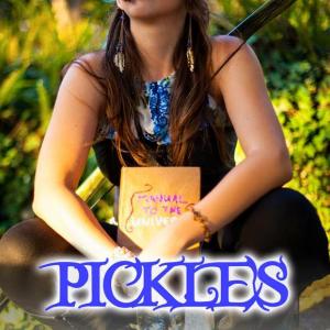 The Theatrical Poster for the film Pickles staring Amanda McDonough