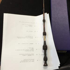 The Elder wand in my role as Dumbledore for NYFA