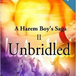 A Harem Boy's Saga Volume II of a seven (7) Books Series - Memoirs. Currently under appraisal for Stage or Film Production. Still open to unsolicited inquiries...http://gilbertliteraryagencyauthors.com/2014/01/29/our-client-and-author-b-young/