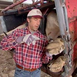 Still of Mike Rowe in Dirty Jobs 2003