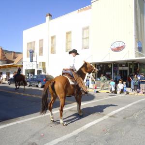 Me and Gopher, the Labor Day Parade, Dillon, Montana.