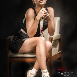 Red Rabbit Lodge  Emilie Charpentier  Promotional Image
