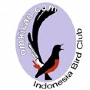 The omkicaucom logo