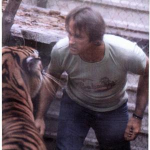 This is Christina, a bengal tiger that was rescued as a baby, by Derrel. Derrel rescued this cat from an apartment complex in Houston Texas. He cared for the cat every day till it passed away in a horrific flood years later. This is a face off.