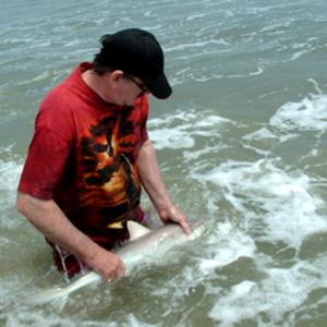Catch and release Sharks. To do this Derrel needs to hypnotize them first and give them the O2 they need first. Otherwise when you release them, they may die.