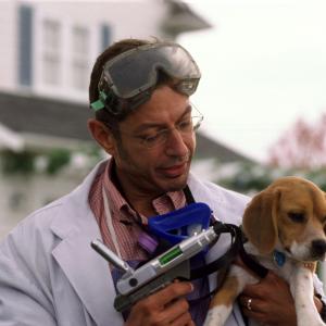 Still of Jeff Goldblum in Kates ir sunys 2001