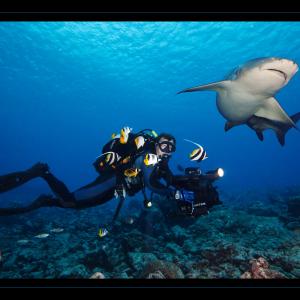During underwater filming in Tahiti