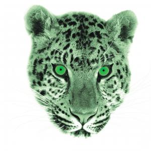 CHUI the leopard Company logo and Avatar