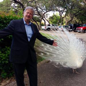 Alan and the White Peacock
