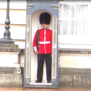 Buckingham Palace Guard 2014