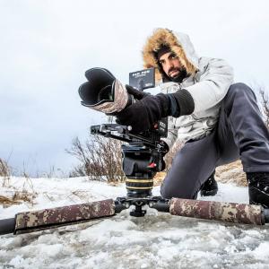 Filming Polar bears in 6k