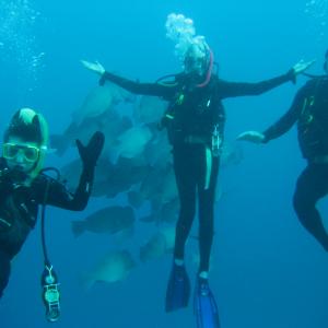 Nicholas Neve and parents scuba diving the Great Barrier Reef. Nicholas in foreground