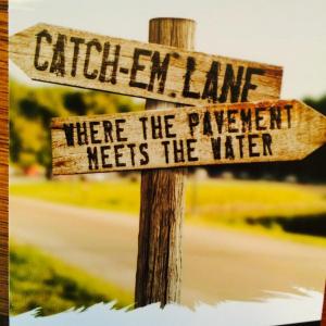 Poster for TV Pilot Catch Em Lane