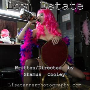 Poster for 2013 film Low Estate starring RuthAnn Thompson Directed by Shamus Cooley