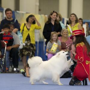 Playing Patty Cake at the American Kennel Club's 