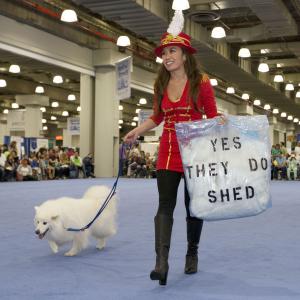Holding a visual aid to a common question at the American Kennel Club's 
