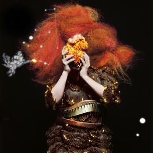 Björk, Inez van Lamsweerde, Vinoodh Matadin and M M in Björk: Biophilia Live (2014)
