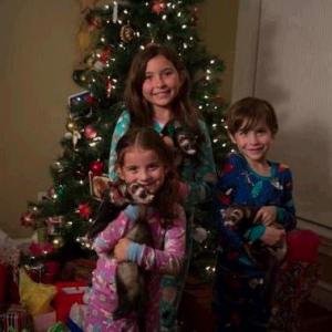 Emma Tremblay, Jacob Tremblay, Erica Tremblay, Krusty The Ferret, Booger The Ferret and Snot The Ferret in Santa's Little Ferrets (2014)