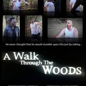 A walk through the woods