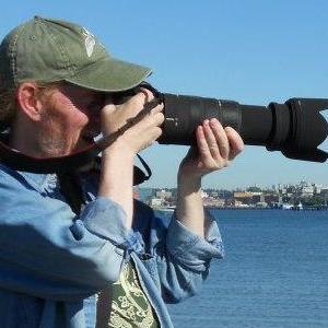 Birdwatching and photography