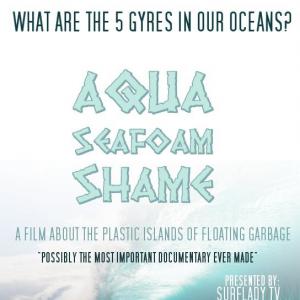 Aqua Seafoam Shame official feature length documentary film poster