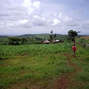 Village in Northeast Uganda where Dan was working on a documentary for Trinity Center for World Missions.