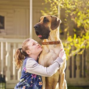 Girl with Great Dane. Ad campaign.(2015)