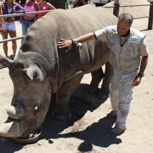 Andre RelentlessAlexsen and friend Spike  a rescue Wide Rhino from Africa one of the last two remaining in captivity Directing Host Wild animal handler trainer God Bless America and all our troops !